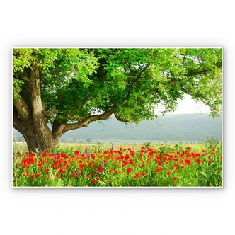 Wandbild Sommererwachen 