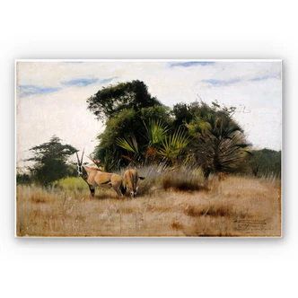 Wandbild Kuhnert - Antilopen 