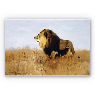 Wandbild Kuhnert - Löwe auf der Suche nach Beute 