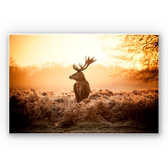 Wanddecoratie Majestueus Hert 