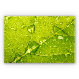 Wandbild Wasserperlen 