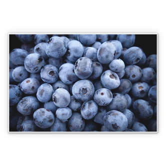 Wandbild Blaubeeren 