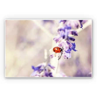 Wandbild Little Friend 