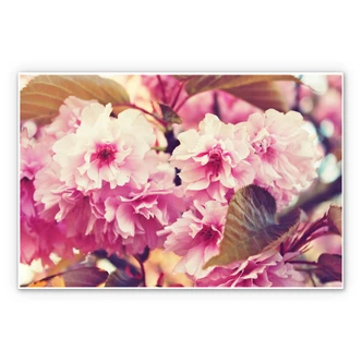 Tableau Forex - Fleurs de cerisier vintage 
