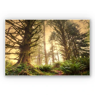 Wanddecoratie Magisch Bos 