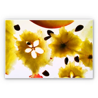 Tableau Forex - Abstract Fruits 