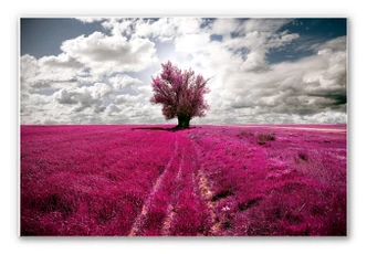 Wandbild The Lonely Tree 