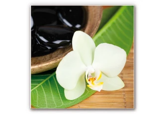 Wandbild Wellness Oase - quadratisch 