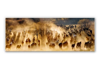 Wandbild Zhu - Wildpferde in den Bergen - Panorama 