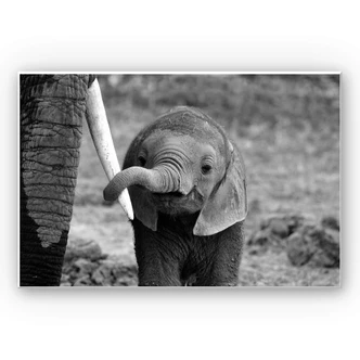 Wanddecoratie Alicke - Close to Mom 