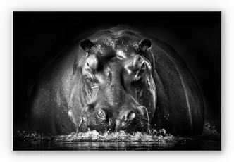 Wanddecoratie Golob - Proestend Nijlpaard 