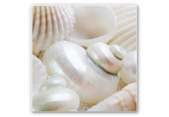 Wandbild Perlmuttglanz 