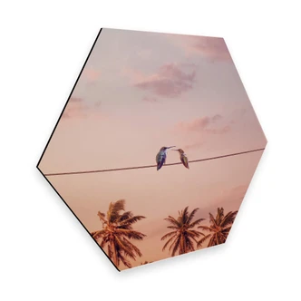 Hexagon Dibond Loose - Hummingbirds in Love 