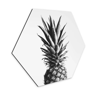 Hexagon - Alu-Dibond 1X Studio - Ananas 