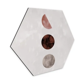 Hexagon Dibond 1X Studio - Geo Amigos 