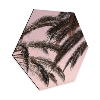 Hexagon Dibond 1X Studio - Palmen 