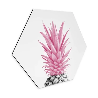 Hexagone - alu-Dibond 1X Studio - Pink Pineapple 