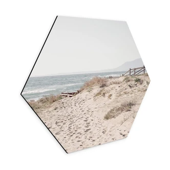 Hexagon Dibond 1X Studio - in de Duinen 