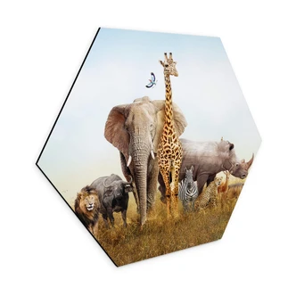 Hexagon Dibond Afrikaanse Dieren 