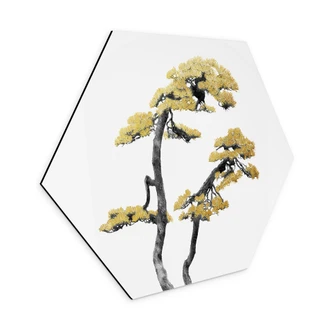 Hexagon Dibond Amini - Bonsai 