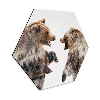 Hexagon Dibond Angyalosi - Wild Fight 