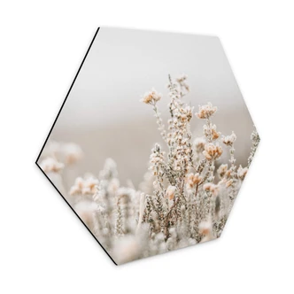 Hexagon Dibond Annie - Ice Flowers 