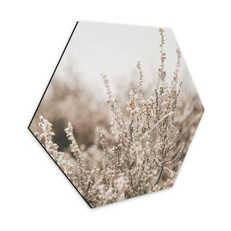 Hexagon Dibond Annie - Grass 