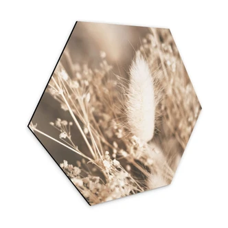 Hexagon Dibond Annie - Pampusgras 