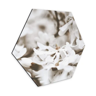 Hexagon Dibond Annie - Jasmin 