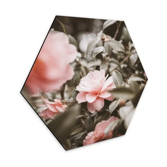 Hexagon Dibond Annie - Pink Roses 