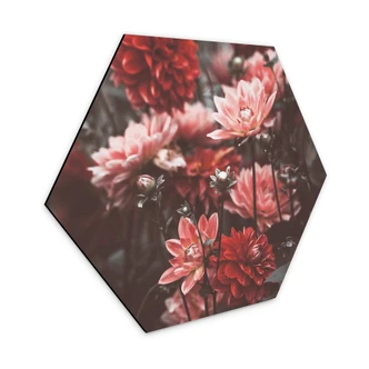 Hexagon - Alu-Dibond Annie - Sommerblüten 