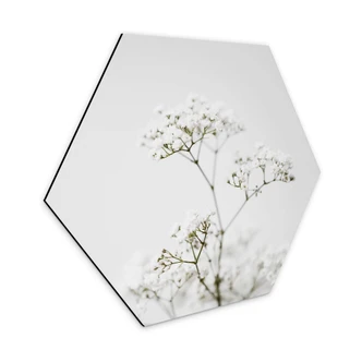 Hexagon Dibond Annie - Meadow 