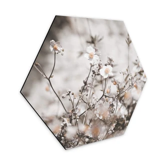 Hexagon Dibond Annie - Wild Flowers 