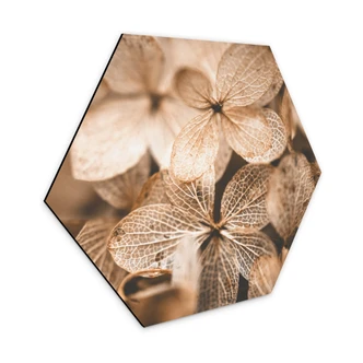 Hexagon Dibond Annie - Delicate Flowers 