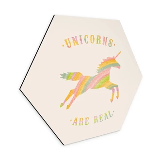 Hexagon Dibond Bodart - Unicorns are Real 