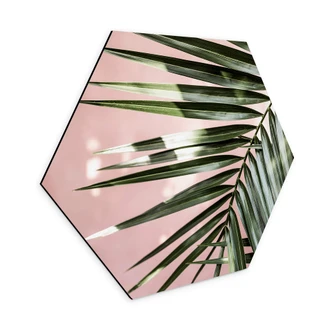 Hexagon Dibond Palmblad voor roze muur - Böhmer 