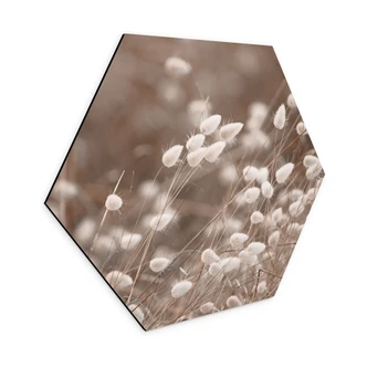 Hexagon Wandbild Zarte Gräser im Herbstlicht - Collins - Alu-Dibond 
