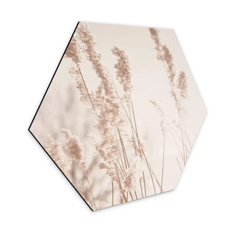 Hexagon Dibond Sunlight Grass 