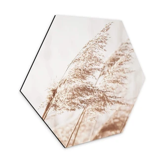 Hexagon - Alu-Dibond Gräser im Wind 