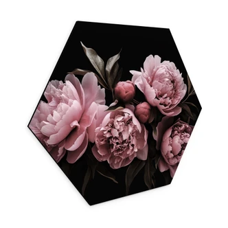 Hexagon Dibond Pioenroos roze - Haase 