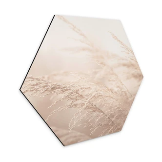 Hexagon Dibond Morning Light 