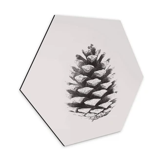 Hexagon - Alu-Dibond Kiefernzapfen Hexagon - Alu-Dibond Kiefernzapfen