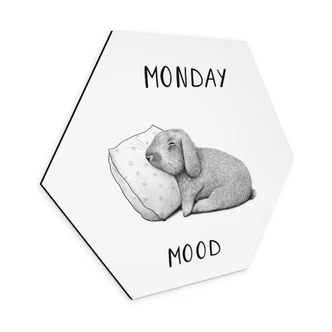 Zeshoek muurschildering maandag stemming - Haas op maandagochtend - aluminium dibond Zeshoek muurschildering maandag stemming - Haas op maandagochtend - aluminium dibond