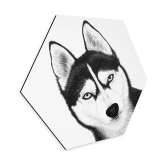 Zeshoekige muurschildering Siberische husky - hondenportret - Korenkova - aluminium dibond Zeshoekige muurschildering Siberische husky - hondenportret - Korenkova - aluminium dibond