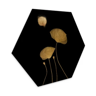 Hexagon Dibond Kubistika - Moonlight Dancer 