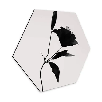 Hexagon Dibond Kubistika - Nero 