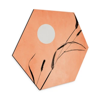 Hexagon Dibond Siv i ferskenfarvet solskin - Kubistika Hexagon Dibond Siv i ferskenfarvet solskin - Kubistika