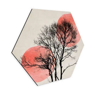 Hexagon Alu-Dibond - Kubistika - Sun & Moon behind the trees 
