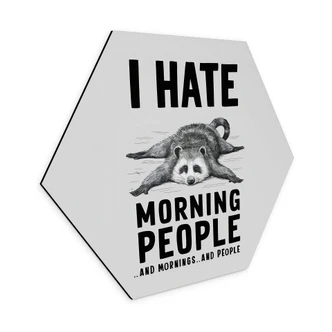 Hexagon Dibond I hate morning people - Magnusson 