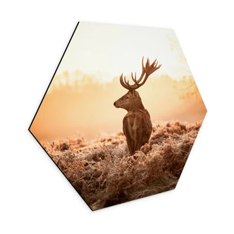 Hexagon Dibond Majestueus Hert 